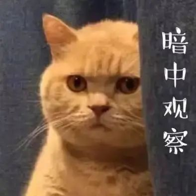 DƬ